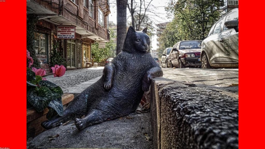 29 Quick Tips to Improve Your Health Insurance