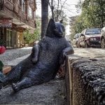 29 Quick Tips to Improve Your Health Insurance